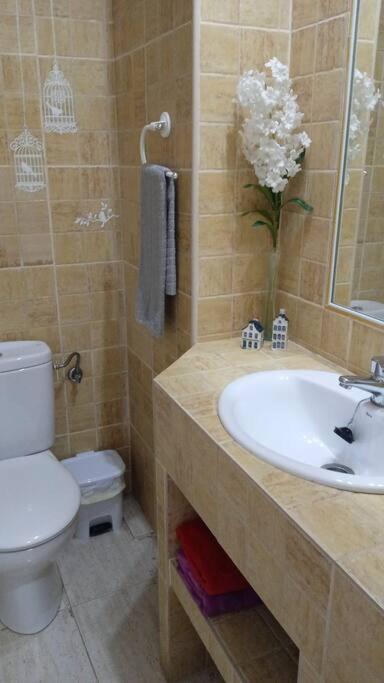 Acogedor Apartamento Jv36 コルドバ エクステリア 写真